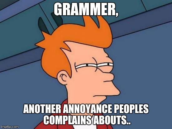 Futurama Fry | GRAMMER, ANOTHER ANNOYANCE PEOPLES COMPLAINS ABOUTS.. | image tagged in memes,futurama fry | made w/ Imgflip meme maker
