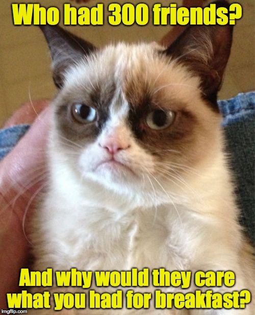 Grumpy Cat Meme | Who had 300 friends? And why would they care what you had for breakfast? | image tagged in memes,grumpy cat | made w/ Imgflip meme maker