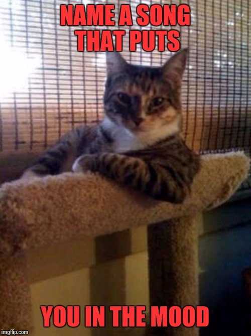 The Most Interesting Cat In The World | NAME A SONG THAT PUTS; YOU IN THE MOOD | image tagged in memes,the most interesting cat in the world | made w/ Imgflip meme maker