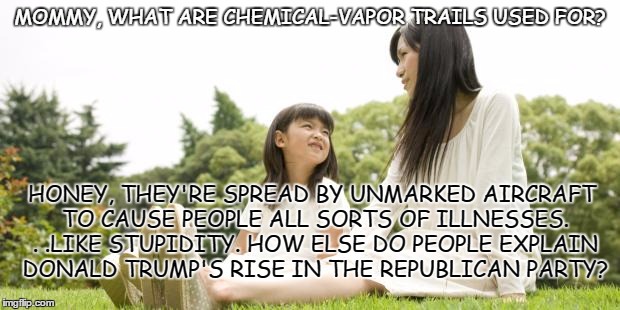 Vapor trails | MOMMY, WHAT ARE CHEMICAL-VAPOR TRAILS USED FOR? HONEY, THEY'RE SPREAD BY UNMARKED AIRCRAFT TO CAUSE PEOPLE ALL SORTS OF ILLNESSES. . .LIKE STUPIDITY. HOW ELSE DO PEOPLE EXPLAIN DONALD TRUMP'S RISE IN THE REPUBLICAN PARTY? | image tagged in mother daughter talk | made w/ Imgflip meme maker