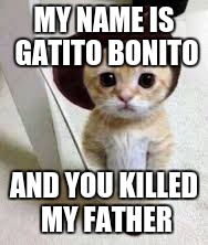 MY NAME IS GATITO BONITO; AND YOU KILLED MY FATHER | image tagged in cats,father,kill | made w/ Imgflip meme maker