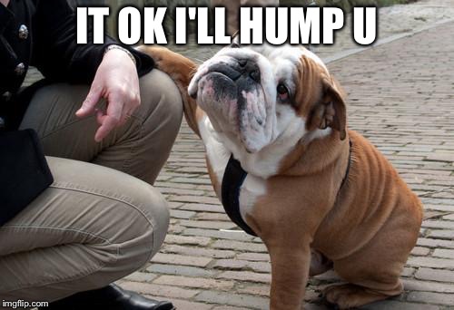 Sympathetic Bulldog | IT OK I'LL HUMP U | image tagged in sympathetic bulldog | made w/ Imgflip meme maker