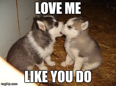 Cute Puppies Meme | LOVE ME; LIKE YOU DO | image tagged in memes,cute puppies | made w/ Imgflip meme maker