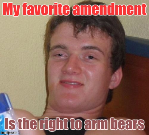 10 Guy Meme | My favorite amendment; Is the right to arm bears | image tagged in memes,10 guy | made w/ Imgflip meme maker