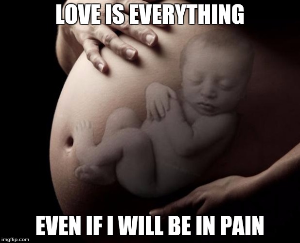 Pregnant Stomach | LOVE IS EVERYTHING; EVEN IF I WILL BE IN PAIN | image tagged in pregnant stomach | made w/ Imgflip meme maker