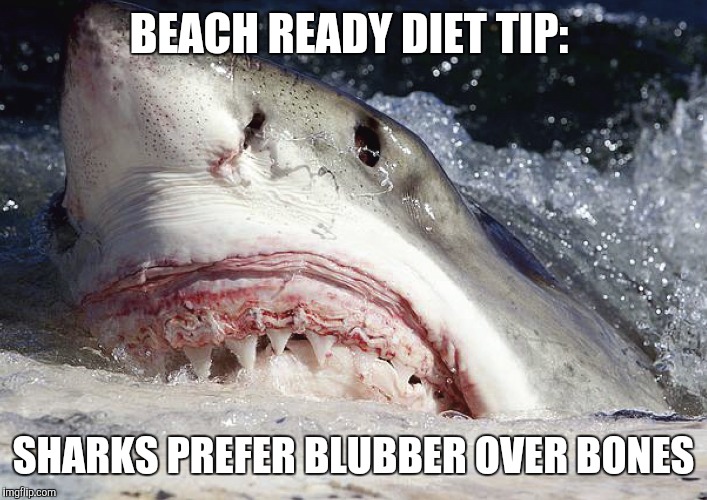 BEACH READY DIET TIP:; SHARKS PREFER BLUBBER OVER BONES | image tagged in shark,shark week,diet,beach,life hack | made w/ Imgflip meme maker