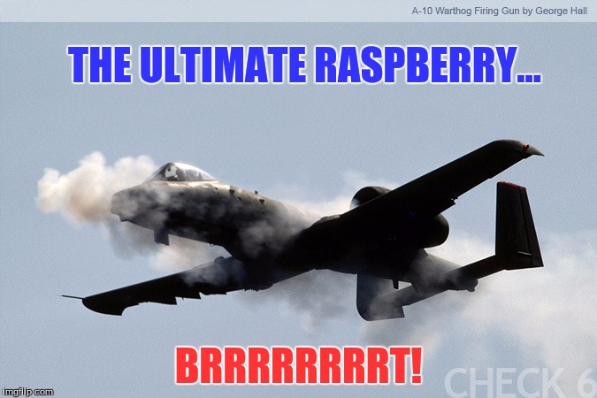 THE ULTIMATE RASPBERRY... BRRRRRRRRT! | image tagged in historical | made w/ Imgflip meme maker