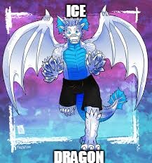 ICE DRAGON | made w/ Imgflip meme maker