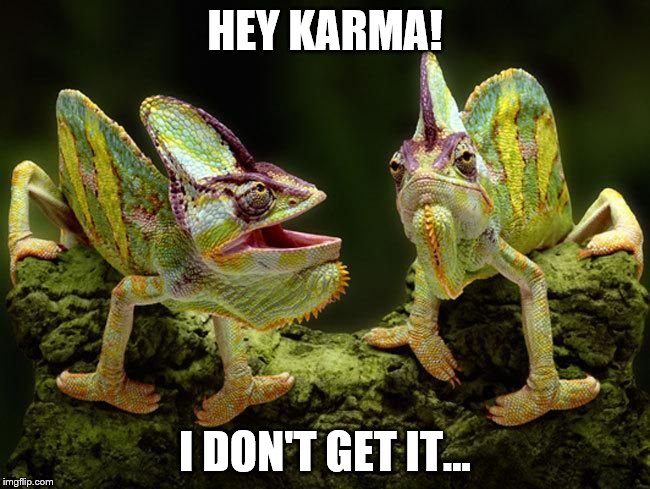 chameleons | HEY KARMA! I DON'T GET IT... | image tagged in chameleons | made w/ Imgflip meme maker
