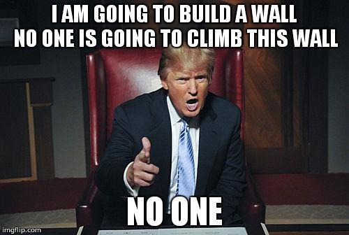 Donald Trump You're Fired | I AM GOING TO BUILD A WALL NO ONE IS GOING TO CLIMB THIS WALL; NO ONE | image tagged in donald trump you're fired | made w/ Imgflip meme maker