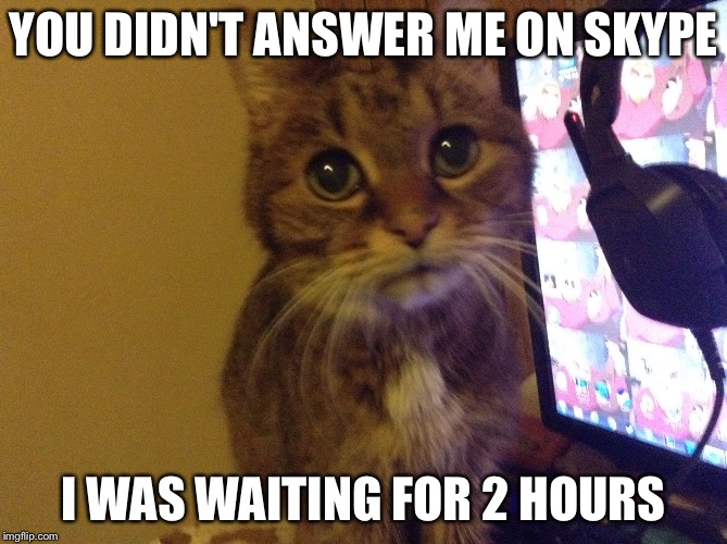 YOU DIDN'T ANSWER ME ON SKYPE; I WAS WAITING FOR 2 HOURS | image tagged in unimpressed gamer cat | made w/ Imgflip meme maker