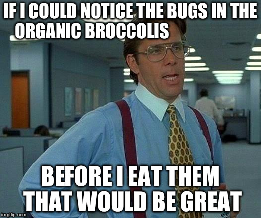 That Would Be Great | IF I COULD NOTICE THE BUGS IN THE ORGANIC BROCCOLIS; BEFORE I EAT THEM THAT WOULD BE GREAT | image tagged in memes,that would be great | made w/ Imgflip meme maker