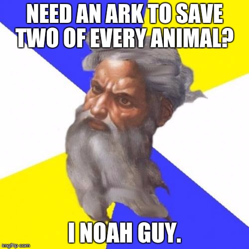 Advice God | NEED AN ARK TO SAVE TWO OF EVERY ANIMAL? I NOAH GUY. | image tagged in memes,advice god | made w/ Imgflip meme maker