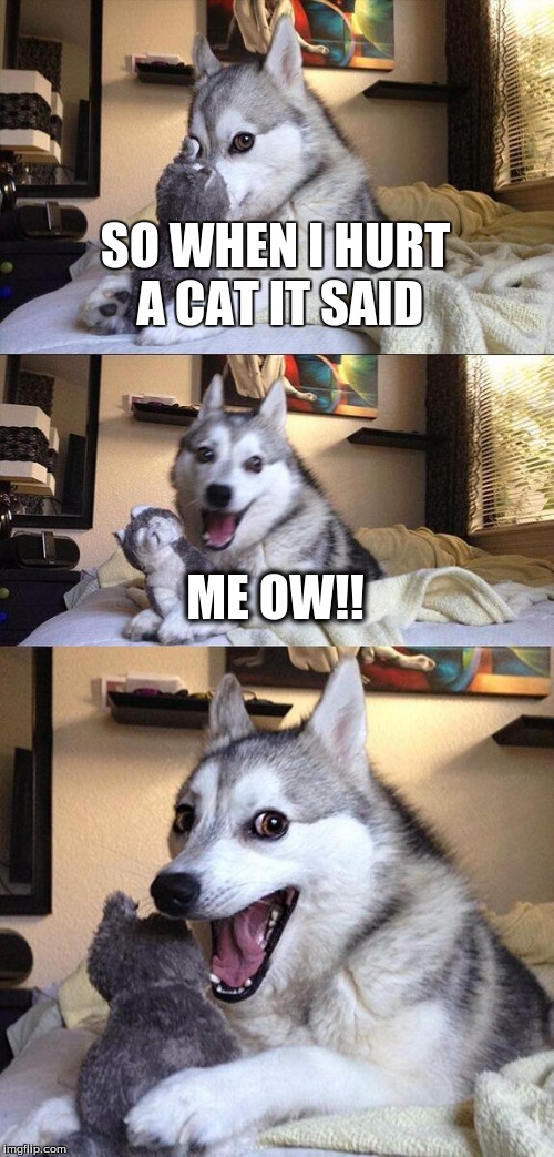 Bad Pun Dog | SO WHEN I HURT A CAT IT SAID; ME OW!! | image tagged in memes,bad pun dog | made w/ Imgflip meme maker