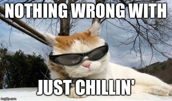 NOTHING WRONG WITH JUST CHILLIN' | made w/ Imgflip meme maker