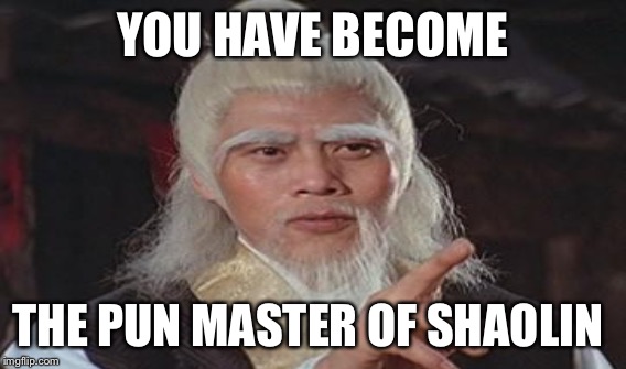 YOU HAVE BECOME THE PUN MASTER OF SHAOLIN | made w/ Imgflip meme maker