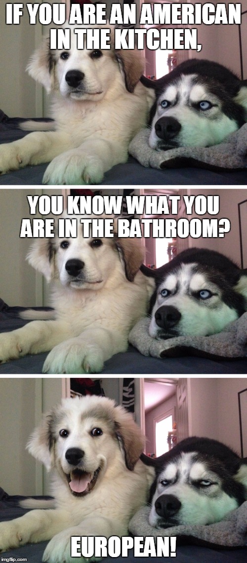 Bad pun dogs | IF YOU ARE AN AMERICAN IN THE KITCHEN, YOU KNOW WHAT YOU ARE IN THE BATHROOM? EUROPEAN! | image tagged in bad pun dogs | made w/ Imgflip meme maker
