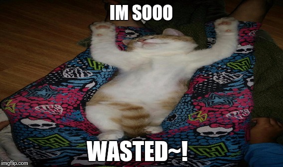 Drunk cat | IM SOOO; WASTED~! | image tagged in drunk cat | made w/ Imgflip meme maker