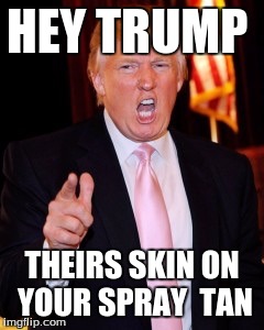 Donald Trump | HEY TRUMP; THEIRS SKIN ON YOUR SPRAY  TAN | image tagged in donald trump | made w/ Imgflip meme maker