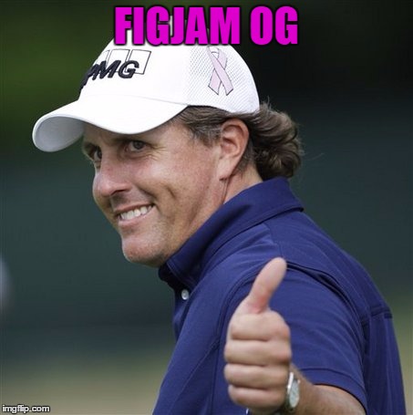 FIGJAM OG | image tagged in phil figjam | made w/ Imgflip meme maker