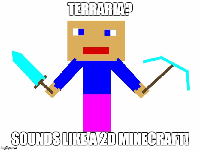 2d Minecraft | TERRARIA? SOUNDS LIKE A 2D MINECRAFT! | image tagged in terraria,minecraft | made w/ Imgflip meme maker
