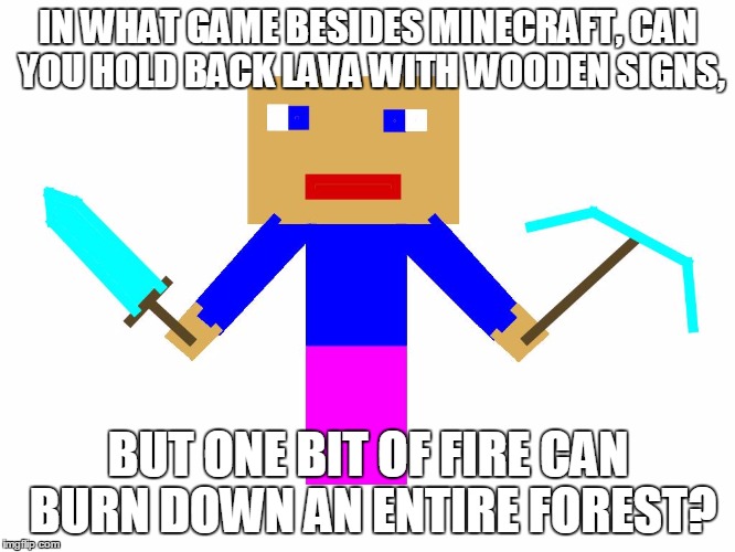 Lava realism | IN WHAT GAME BESIDES MINECRAFT, CAN YOU HOLD BACK LAVA WITH WOODEN SIGNS, BUT ONE BIT OF FIRE CAN BURN DOWN AN ENTIRE FOREST? | image tagged in lava | made w/ Imgflip meme maker