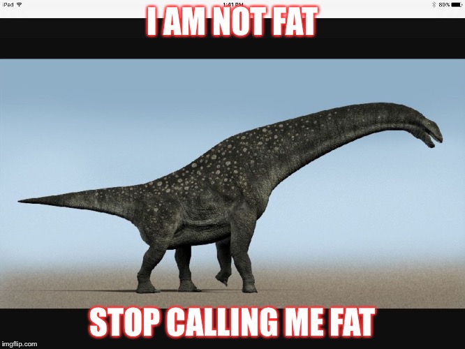 I AM NOT FAT; STOP CALLING ME FAT | image tagged in wow | made w/ Imgflip meme maker