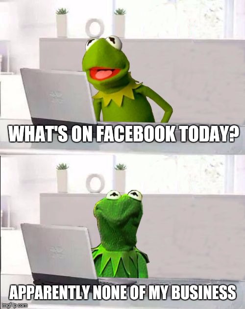 Hide The Pain Kermit | WHAT'S ON FACEBOOK TODAY? APPARENTLY NONE OF MY BUSINESS | image tagged in hide the pain kermit | made w/ Imgflip meme maker