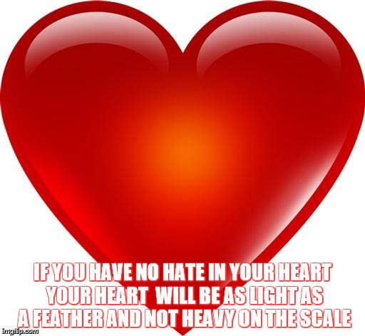 My heart | IF YOU HAVE NO HATE IN YOUR HEART YOUR HEART  WILL BE AS LIGHT AS A FEATHER AND NOT HEAVY ON THE SCALE | image tagged in my heart | made w/ Imgflip meme maker