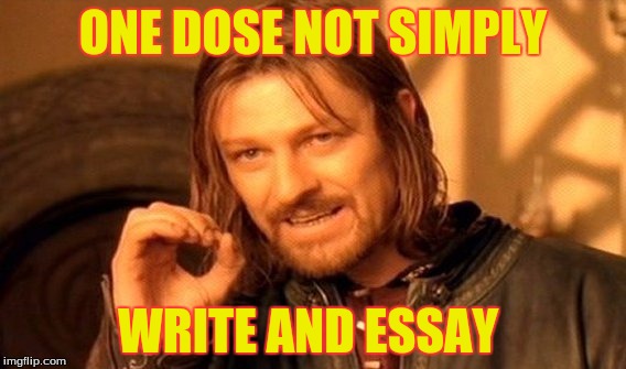 One Does Not Simply Meme |  ONE DOSE NOT SIMPLY; WRITE AND ESSAY | image tagged in memes,one does not simply | made w/ Imgflip meme maker