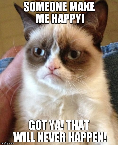 Grumpy Cat | SOMEONE MAKE ME HAPPY! GOT YA! THAT WILL NEVER HAPPEN! | image tagged in memes,grumpy cat | made w/ Imgflip meme maker