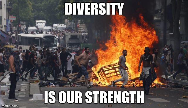 mass immigration | DIVERSITY; IS OUR STRENGTH | image tagged in diversity | made w/ Imgflip meme maker
