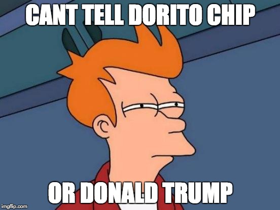 Futurama Fry | CANT TELL DORITO CHIP; OR DONALD TRUMP | image tagged in memes,futurama fry | made w/ Imgflip meme maker