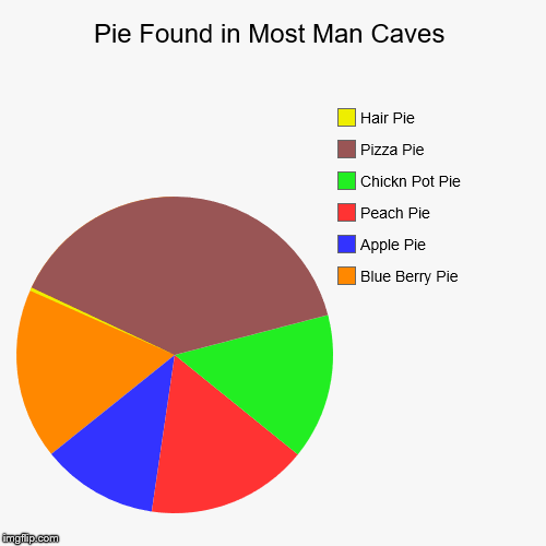 Man Cave Pie's | image tagged in funny,pie charts,men,caveman | made w/ Imgflip chart maker