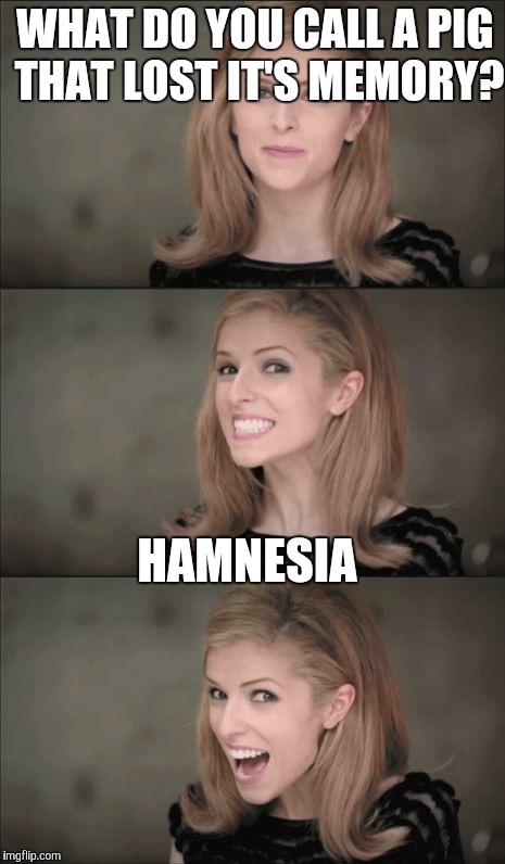 Bad Pun Anna Kendrick | WHAT DO YOU CALL A PIG THAT LOST IT'S MEMORY? HAMNESIA | image tagged in bad pun anna kendrick | made w/ Imgflip meme maker