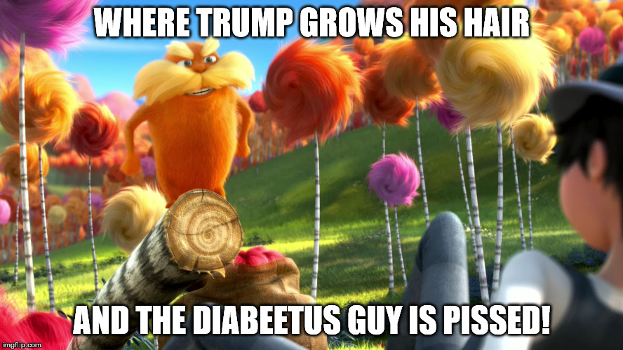 WHERE TRUMP GROWS HIS HAIR; AND THE DIABEETUS GUY IS PISSED! | image tagged in trump hair | made w/ Imgflip meme maker