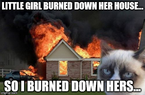 Burn Kitty | LITTLE GIRL BURNED DOWN HER HOUSE... SO I BURNED DOWN HERS... | image tagged in memes,burn kitty | made w/ Imgflip meme maker