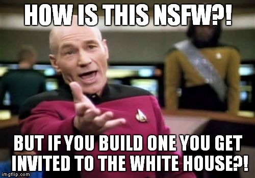 Picard Wtf Meme | HOW IS THIS NSFW?! BUT IF YOU BUILD ONE YOU GET INVITED TO THE WHITE HOUSE?! | image tagged in memes,picard wtf | made w/ Imgflip meme maker