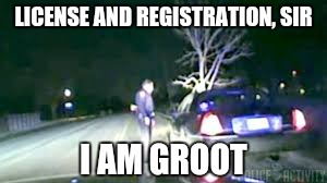LICENSE AND REGISTRATION, SIR; I AM GROOT | image tagged in groot,guardians of the galaxy,drunk | made w/ Imgflip meme maker