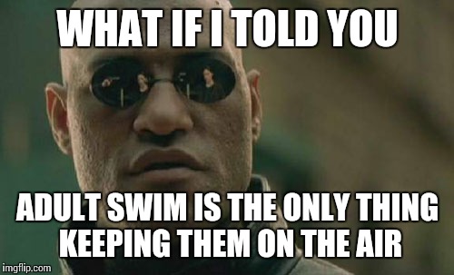 Matrix Morpheus Meme | WHAT IF I TOLD YOU ADULT SWIM IS THE ONLY THING KEEPING THEM ON THE AIR | image tagged in memes,matrix morpheus | made w/ Imgflip meme maker