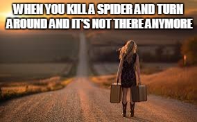 WHEN YOU KILL A SPIDER AND TURN AROUND AND IT'S NOT THERE ANYMORE | image tagged in spider,notstayingheretonight | made w/ Imgflip meme maker