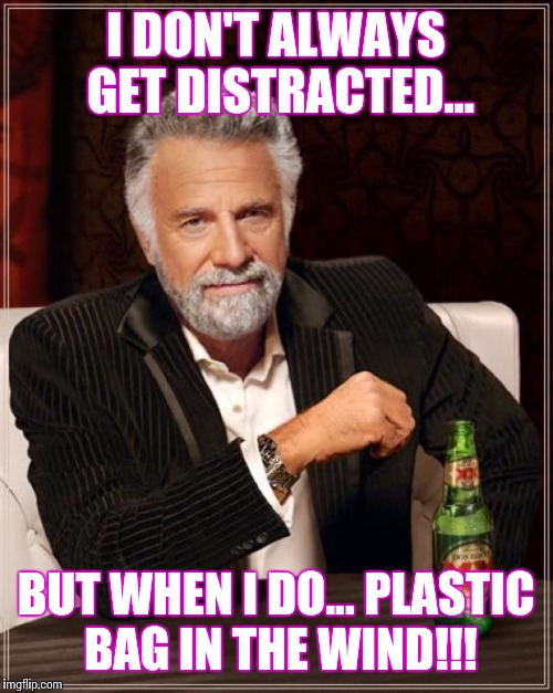 The Most Interesting Man In The World Meme | I DON'T ALWAYS GET DISTRACTED... BUT WHEN I DO... PLASTIC BAG IN THE WIND!!! | image tagged in memes,the most interesting man in the world | made w/ Imgflip meme maker