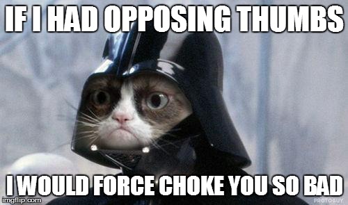 Grumpy Cat Star Wars Meme | IF I HAD OPPOSING THUMBS; I WOULD FORCE CHOKE YOU SO BAD | image tagged in memes,grumpy cat star wars,grumpy cat | made w/ Imgflip meme maker
