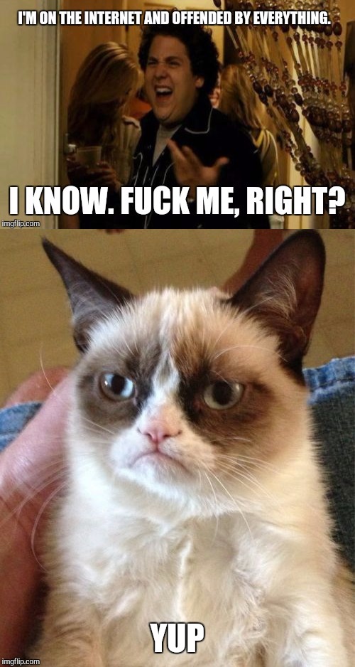 YUP | image tagged in grumpy cat,i know fuck me right,internet | made w/ Imgflip meme maker