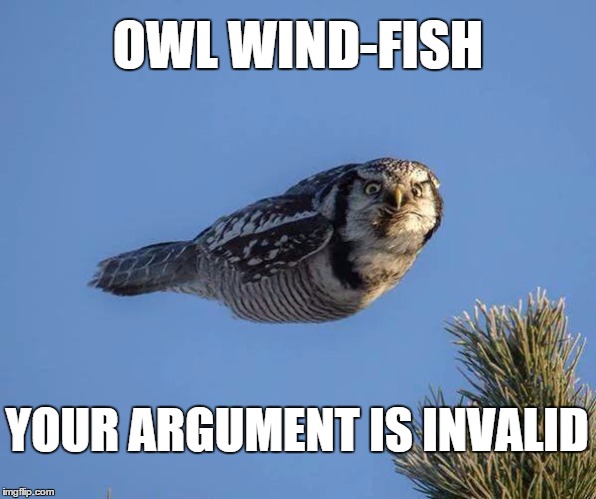 OWL WIND-FISH; YOUR ARGUMENT IS INVALID | image tagged in owl wind fish | made w/ Imgflip meme maker