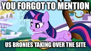 YOU FORGOT TO MENTION US BRONIES TAKING OVER THE SITE | made w/ Imgflip meme maker