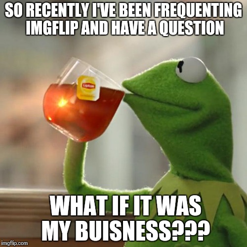 But That's None Of My Business | SO RECENTLY I'VE BEEN FREQUENTING IMGFLIP AND HAVE A QUESTION; WHAT IF IT WAS MY BUISNESS??? | image tagged in memes,but thats none of my business,kermit the frog | made w/ Imgflip meme maker