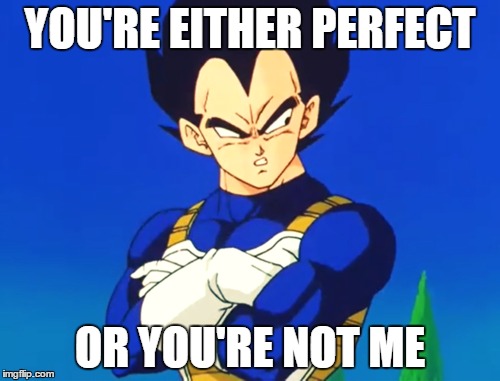 YOU'RE EITHER PERFECT; OR YOU'RE NOT ME | made w/ Imgflip meme maker