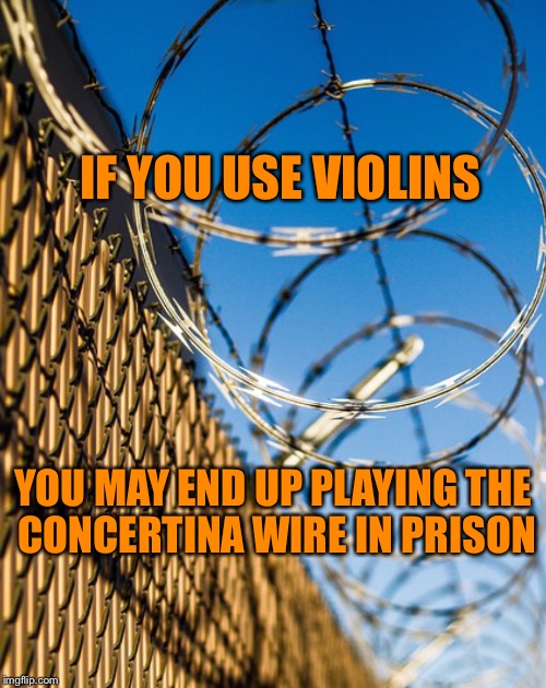 PRISON RAZOR WIRE FENCE | IF YOU USE VIOLINS; YOU MAY END UP PLAYING THE CONCERTINA WIRE IN PRISON | image tagged in pretty fence concertina | made w/ Imgflip meme maker