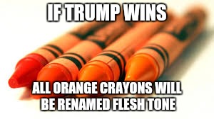 IF TRUMP WINS; ALL ORANGE CRAYONS WILL BE RENAMED FLESH TONE | image tagged in trump,orange is the new black | made w/ Imgflip meme maker